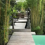 Bali * Cassis