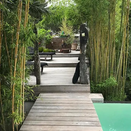 Bali * 카시스
