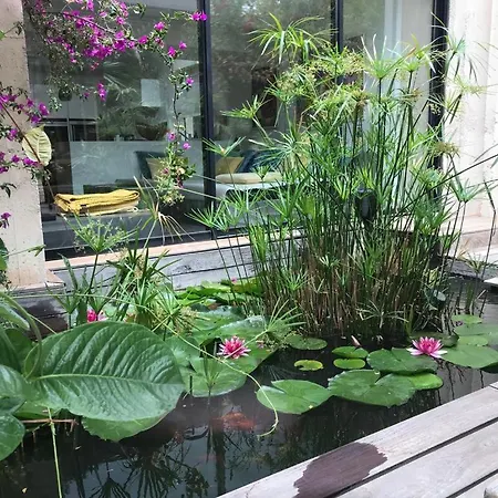 Bali *