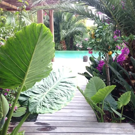 Bali 빌라