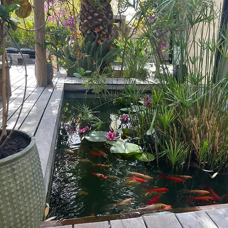 Bali 빌라 카시스