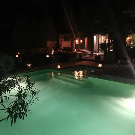 Bali فيلة *